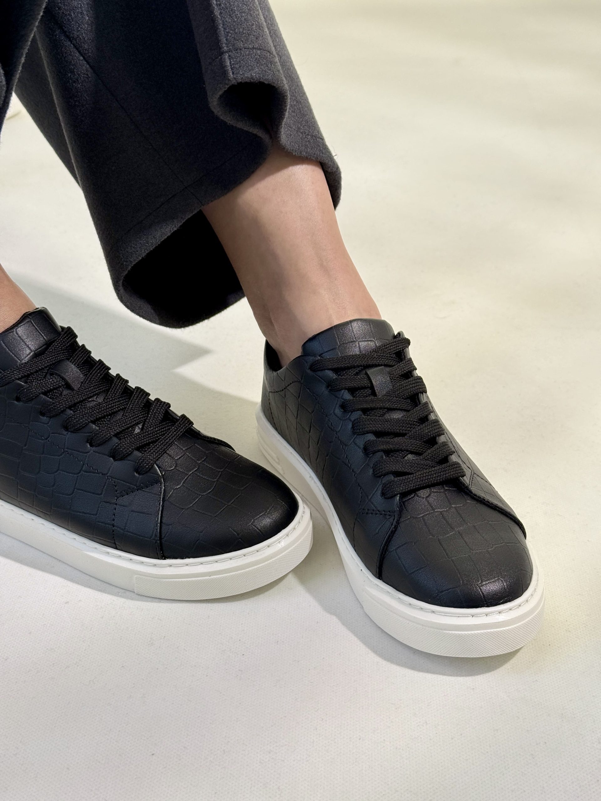 دلفین - Image 3